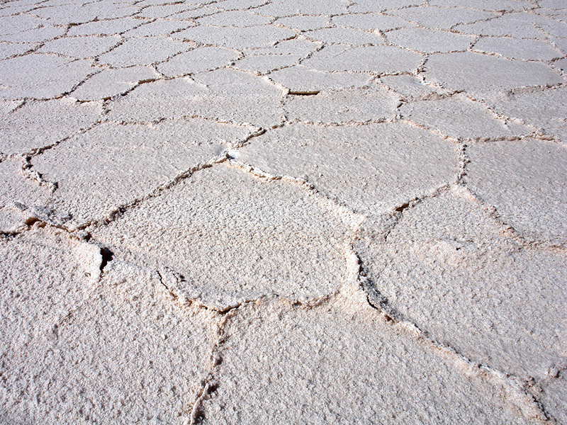 Martens - Environmental Services - Soil Salinity
