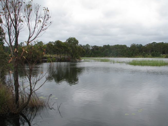 Riverside, Tea Gardens, NSW