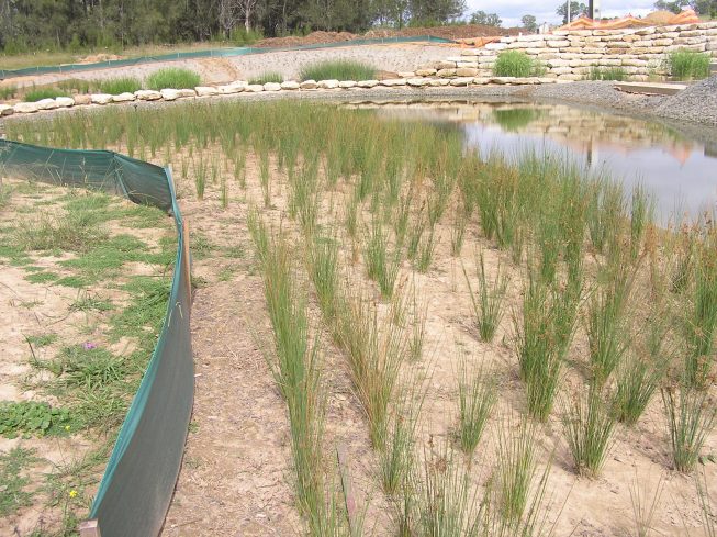 Civil Works: Twin Creeks Estate, Luddenham, NSW