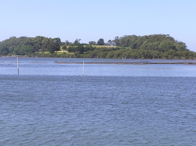 Goodnight Island, Greenwell Point, NSW