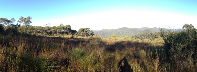 Proposed Agricultural College, Mangrove Mountain, NSW