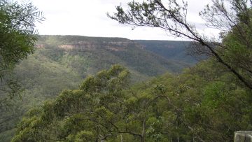 Mapping of Soil Facets of SCA Area, Eastern, NSW