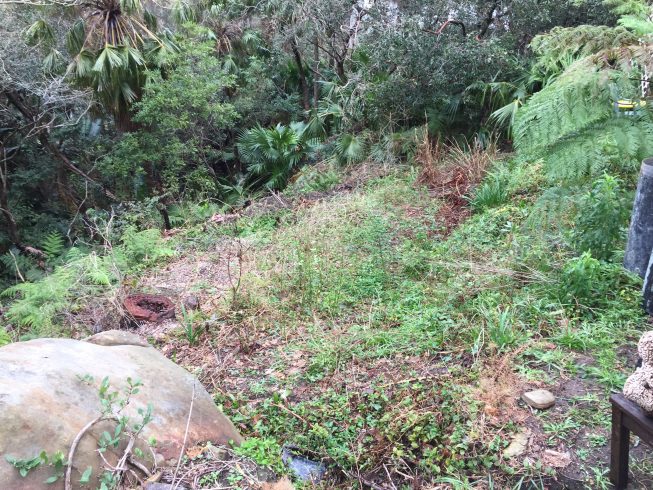 Proposed Residential Sub-Division 62 and 85 Hillside Road, Newport, NSW