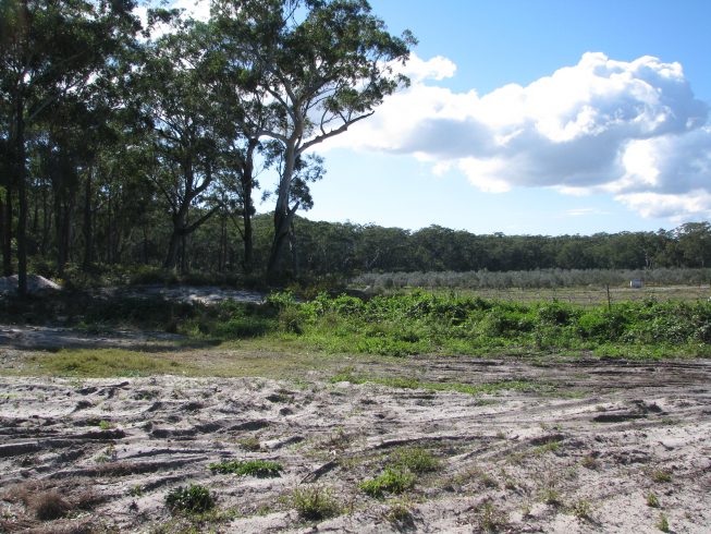 Proposed Sand Quarry - Bobs Farm Port Stephens, NSW
