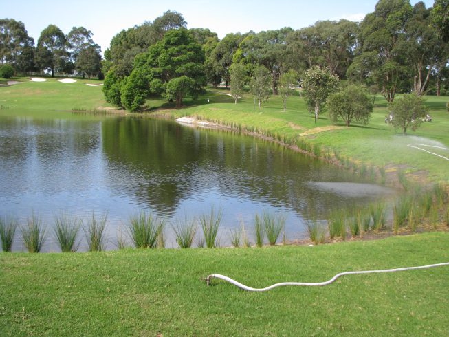 Roseville Golf Course, Roseville, NSW