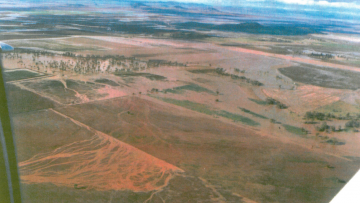 Agricultural Land, Mullaley, NSW